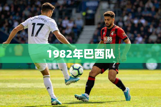 1982年巴西队