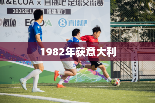 1982年获意大利