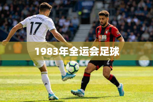 1983年全运会足球 1983年全运会足球