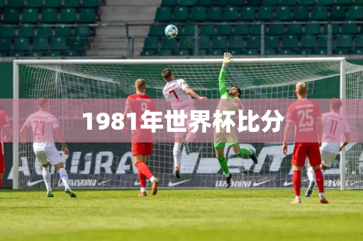 1981年世界杯比分