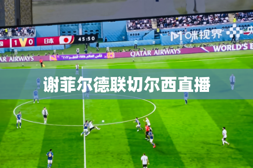 谢菲尔德联切尔西直播