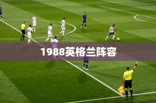 1988英格兰阵容 1988英格兰阵容