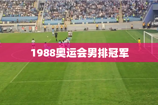1988奥运会男排冠军 1988奥运会男排冠军