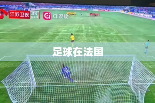 足球在法国