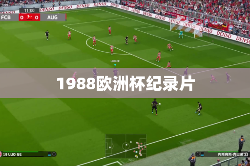 1988欧洲杯纪录片 1988欧洲杯纪录片