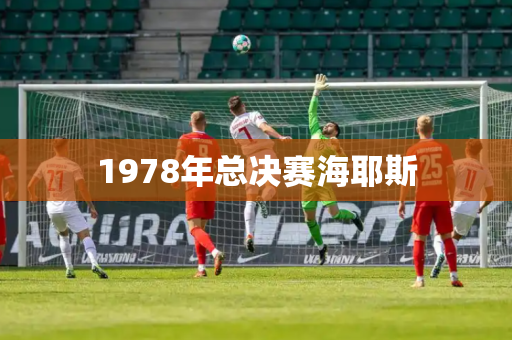 1978年总决赛海耶斯 1978年总决赛海耶斯