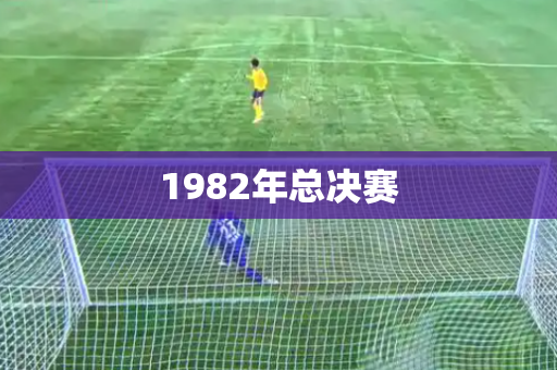 1982年总决赛 1982年总决赛