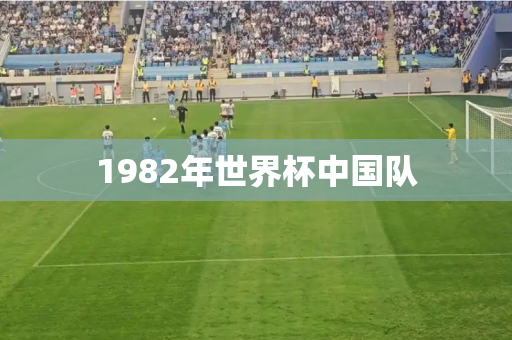 1982年世界杯中国队