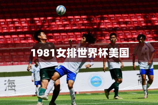 1981女排世界杯美国 1981女排世界杯美国