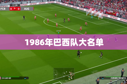1986年巴西队大名单 1986年巴西队大名单