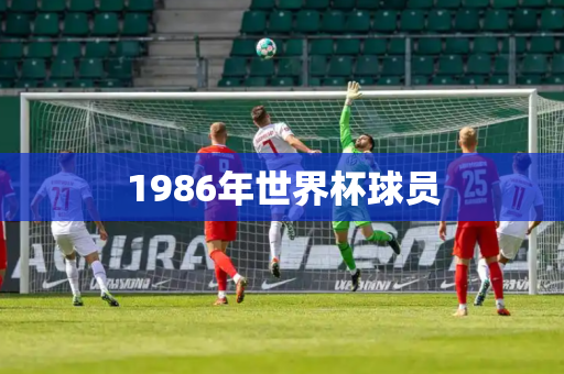 1986年世界杯球员 1986年世界杯球员