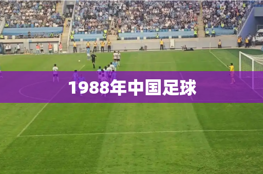 1988年中国足球 1988年中国足球