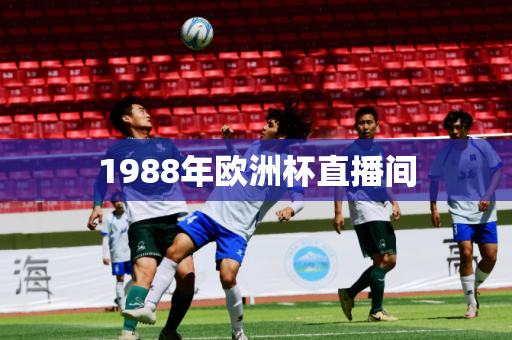 1988年欧洲杯直播间 1988年欧洲杯直播间