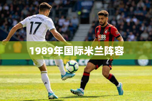 1989年国际米兰阵容 1989年国际米兰阵容