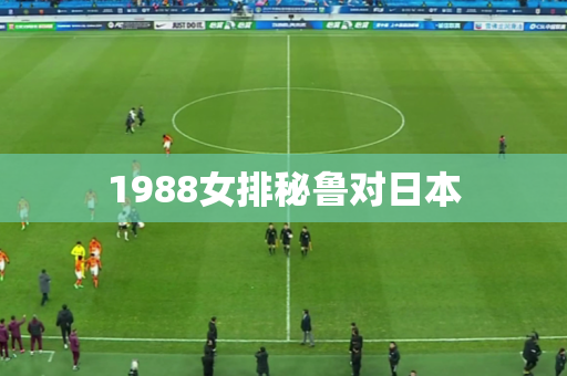 1988女排秘鲁对日本 1988女排秘鲁对日本