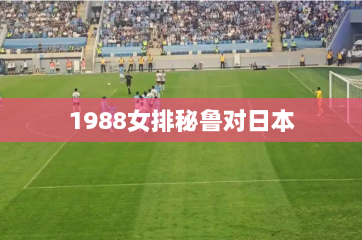 1988女排秘鲁对日本 1988女排秘鲁对日本