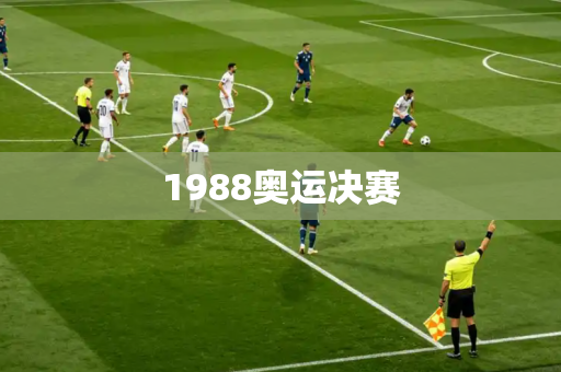 1988奥运决赛 1988奥运决赛