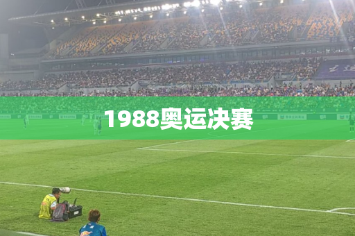 1988奥运决赛 1988奥运决赛