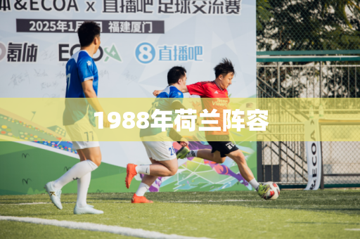 1988年荷兰阵容 1988年荷兰阵容