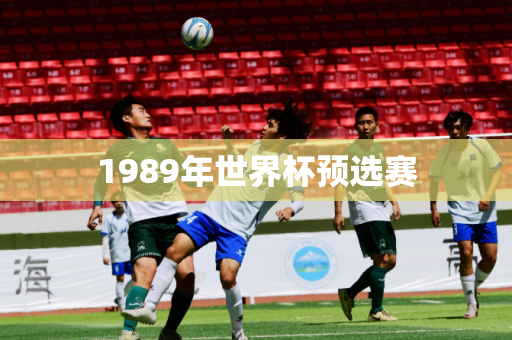 1989年世界杯预选赛 1989年世界杯预选赛