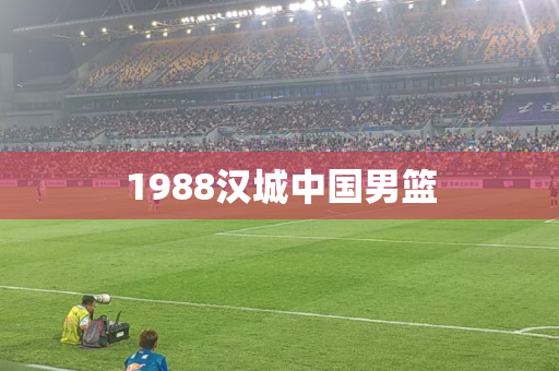 1988汉城中国男篮 1988汉城中国男篮