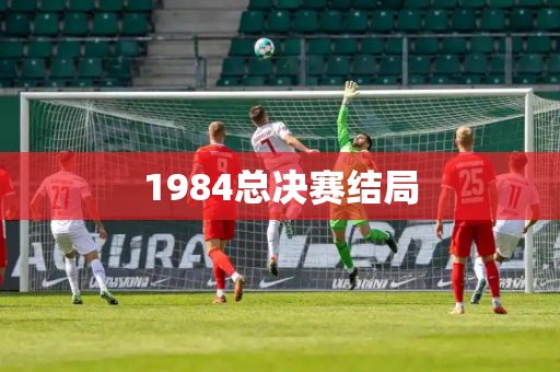 1984总决赛结局 1984总决赛结局
