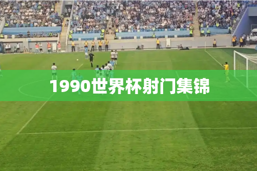 1990世界杯射门集锦 1990世界杯射门集锦