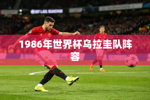 1986年世界杯乌拉圭队阵容 1986年世界杯乌拉圭队阵容