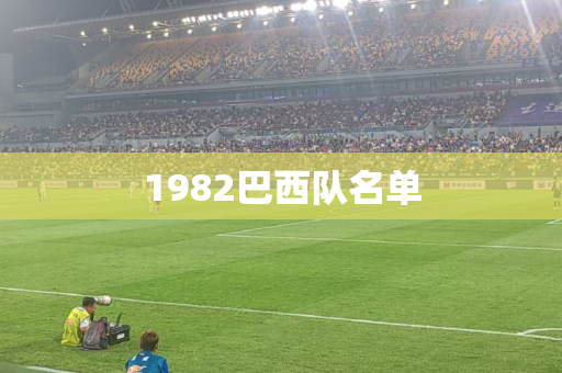 1982巴西队名单