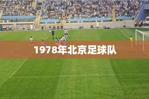 1978年北京足球队 1978年北京足球队