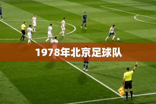 1978年北京足球队 1978年北京足球队