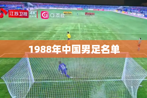 1988年中国男足名单 1988年中国男足名单