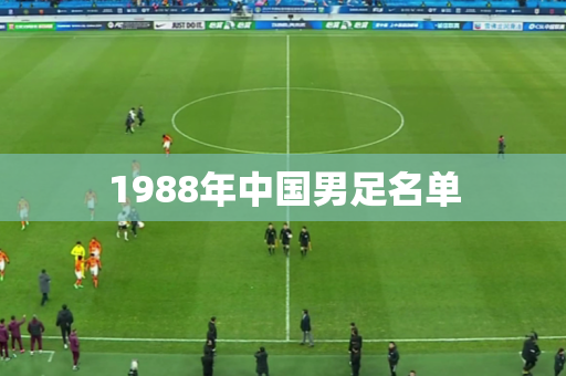 1988年中国男足名单 1988年中国男足名单