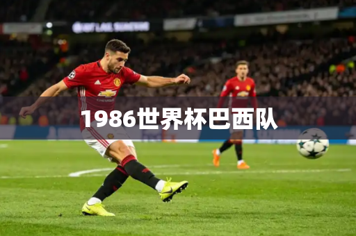 1986世界杯巴西队 1986世界杯巴西队