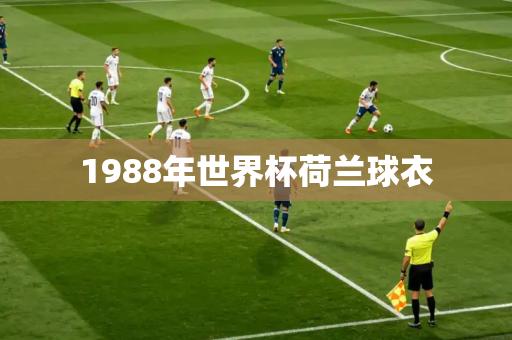 1988年世界杯荷兰球衣 1988年世界杯荷兰球衣