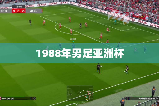 1988年男足亚洲杯 1988年男足亚洲杯