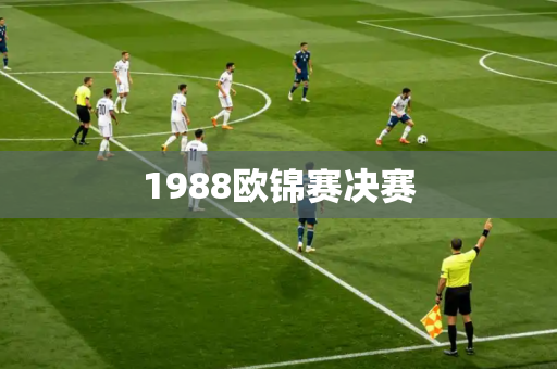 1988欧锦赛决赛