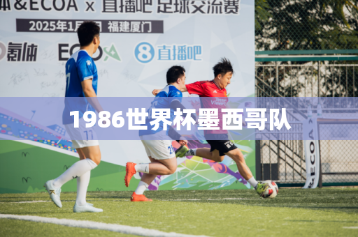 1986世界杯墨西哥队 1986世界杯墨西哥队
