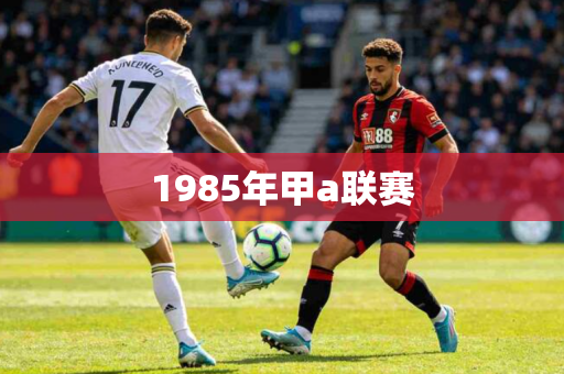 1985年甲a联赛 1985年甲a联赛