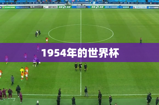 1954年的世界杯 1954年的世界杯