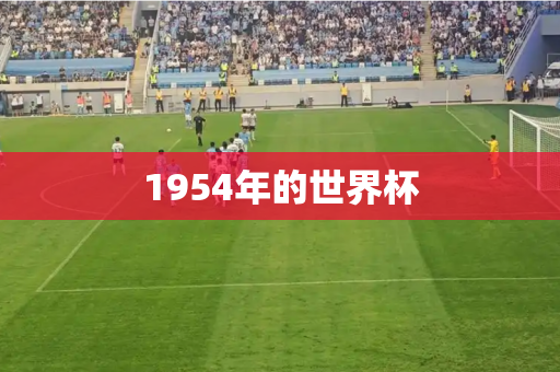 1954年的世界杯 1954年的世界杯