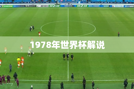 1978年世界杯解说 1978年世界杯解说