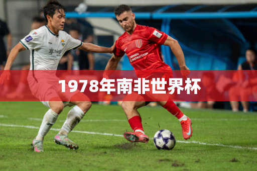 1978年南非世界杯
