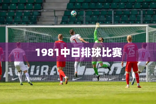 1981中日排球比赛