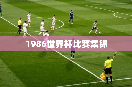 1986世界杯比赛集锦 1986世界杯比赛集锦