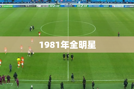 1981年全明星