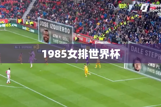 1985女排世界杯