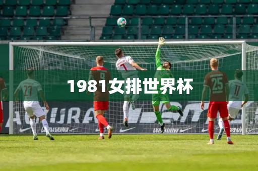 1981女排世界杯 1981女排世界杯