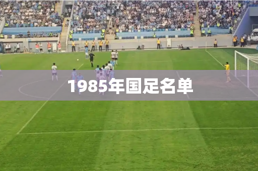 1985年国足名单
