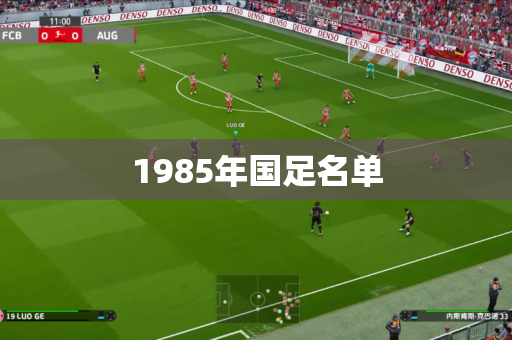 1985年国足名单
